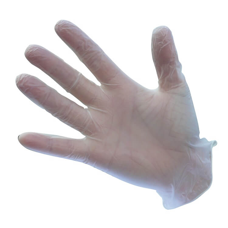 A905 Powder Free Vinyl Disposable Gloves (Pk100) - dixiesworkwear